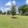 Fenced-In Dog Park